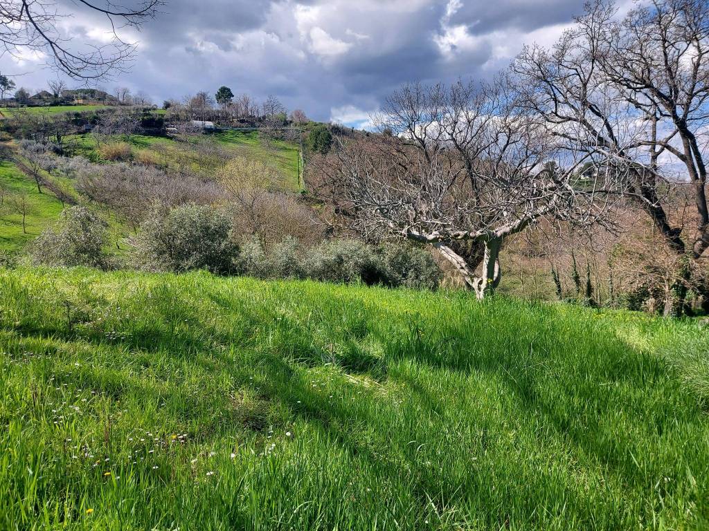 Villa a Pesaro in Strada della Fabbreccia - Foto 4