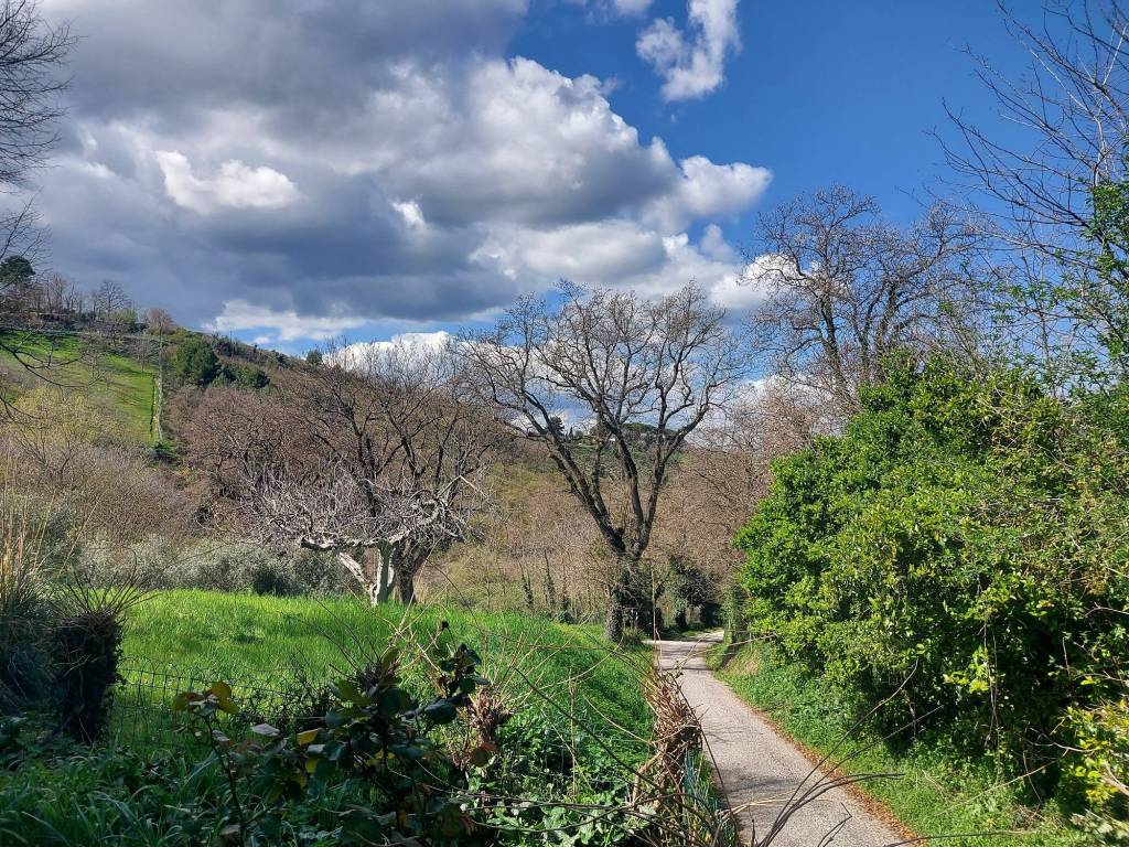 Villa a Pesaro in Strada della Fabbreccia - Foto 5
