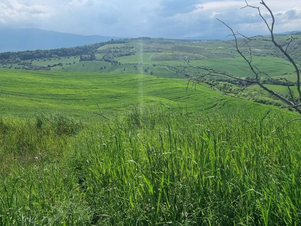 Rustico / casale a Castel di lama in Contrada Colle Cese - Foto 3