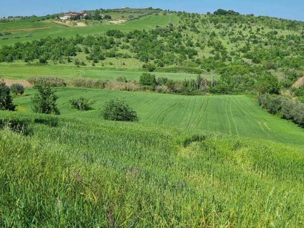 Rustico / casale a Castel di lama in Contrada Colle Cese - Foto 5