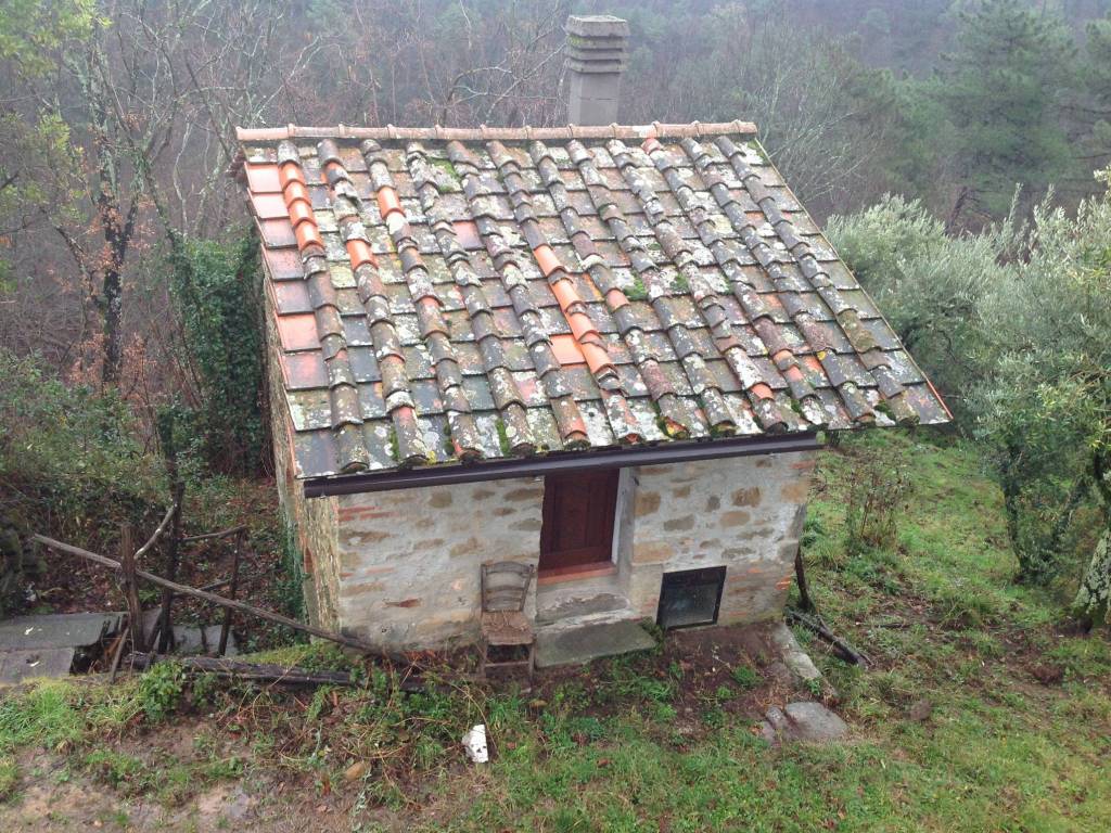 Rustico / casale a Uzzano - Foto 5