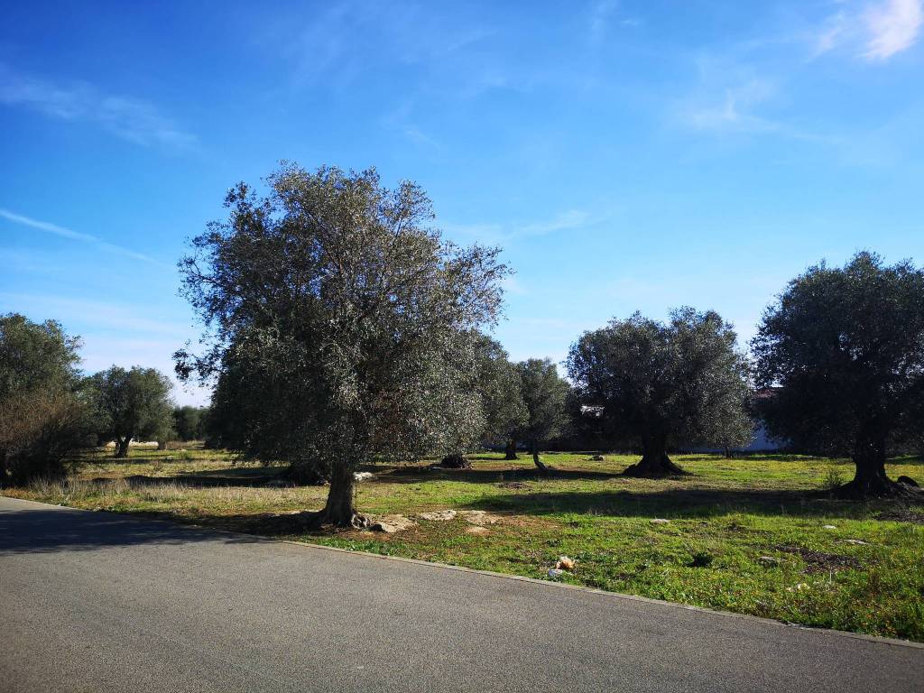 Terreno a Monteparano in Via Giulio Cesare - Foto 3