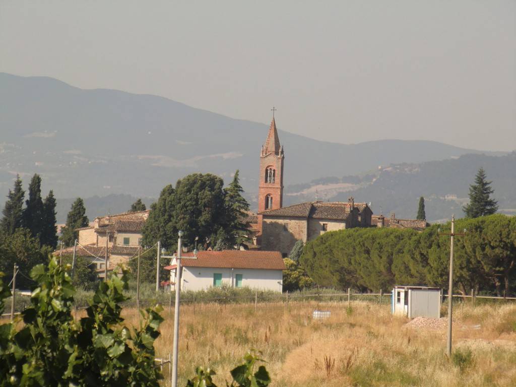 Terreno a Todi in Strada Provinciale di Pian di Porto - Foto 3