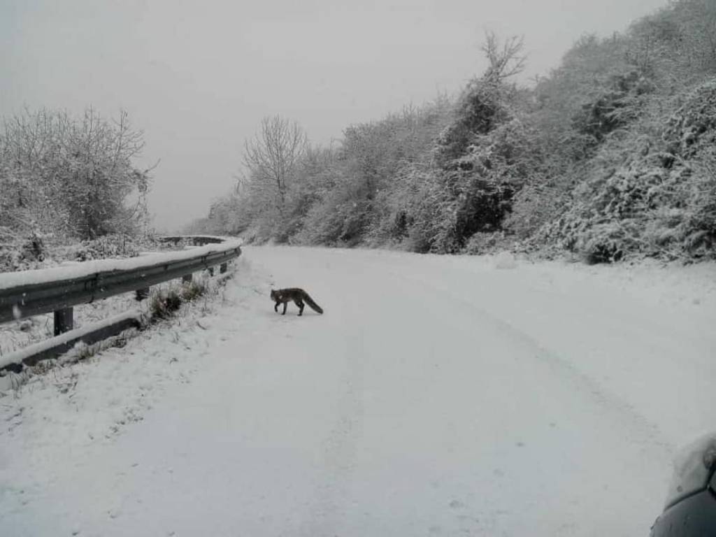 Terreno a Cappadocia in Via Monte Serra, 5 - Foto 3