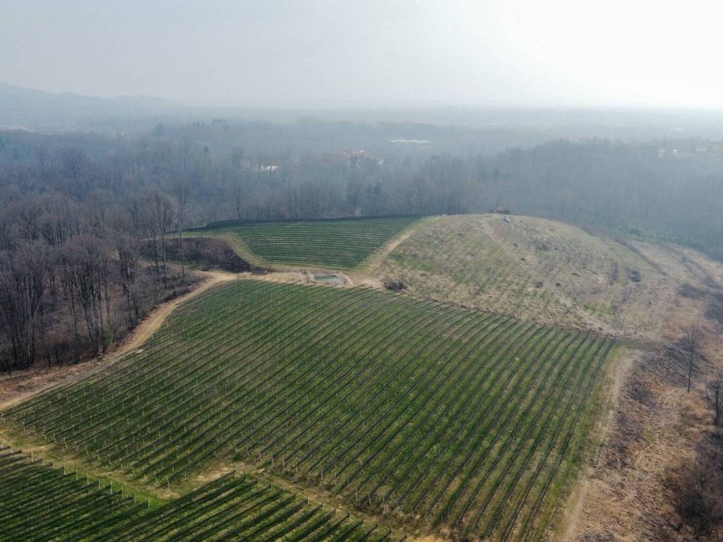 Terreno a Gattinara in Corso Valsesia, 70 - Foto 4