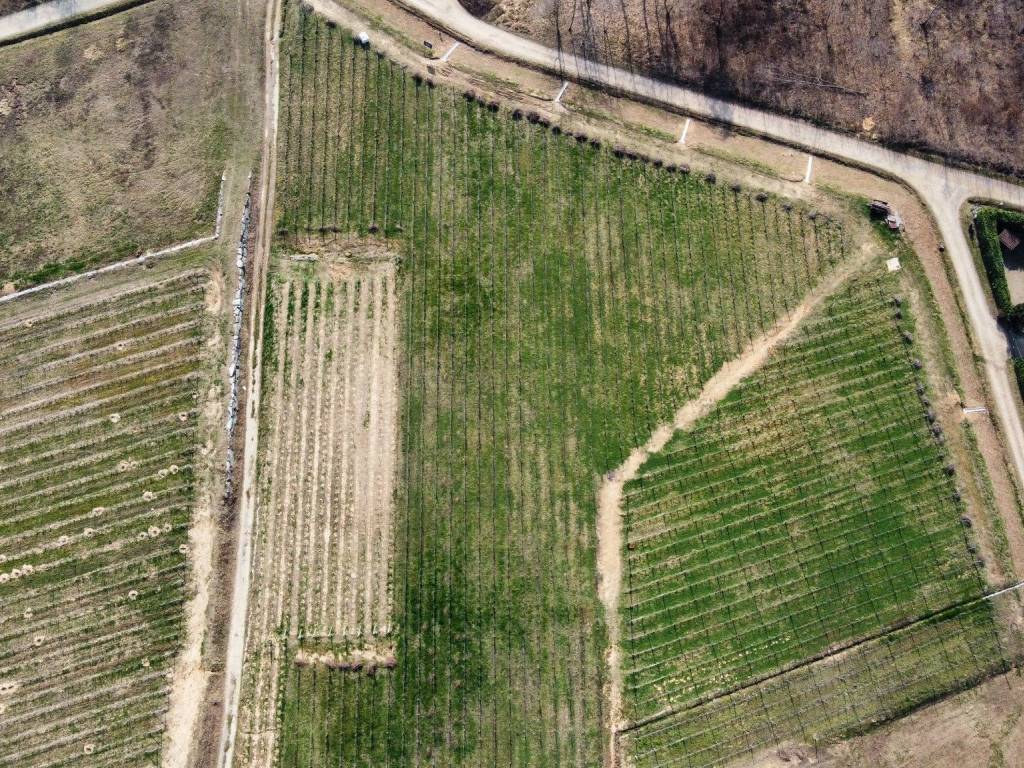 Terreno a Gattinara in Corso Valsesia, 70 - Foto 5