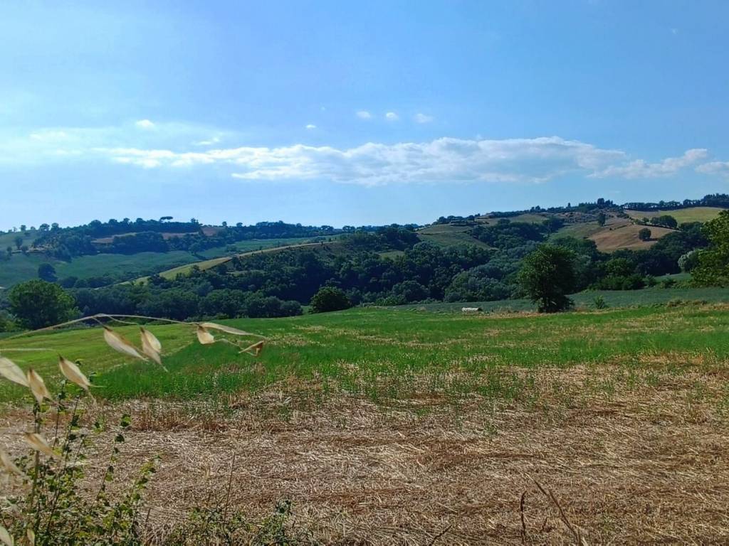 Terreno a Collevecchio in Via Collefiore - Foto 2