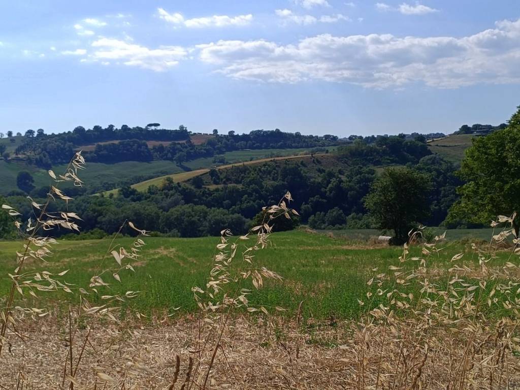 Terreno a Collevecchio in Via Collefiore - Foto 3