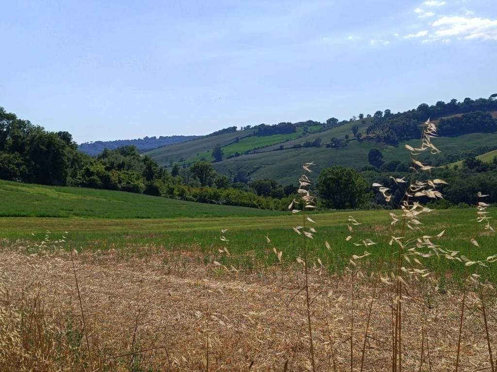 Terreno a Collevecchio in Via Collefiore - Foto 4