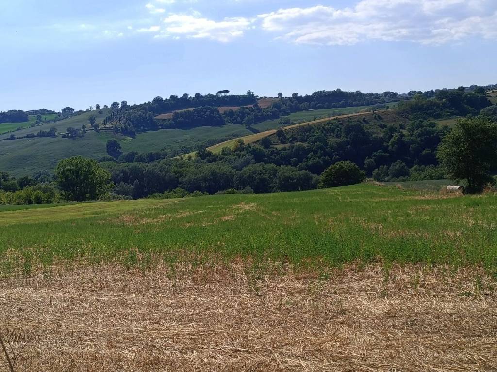 Terreno a Collevecchio in Via Collefiore - Foto 5