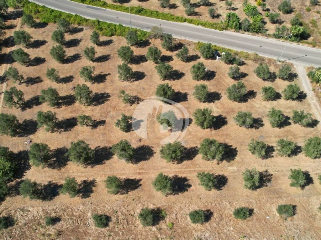 Terreno a Nardò in Viale Giorgio Perlasca, 0 - Foto 2