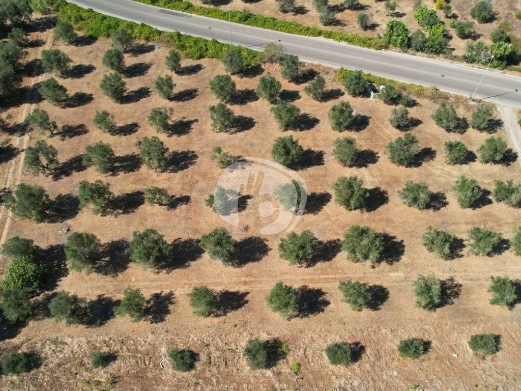 Terreno a Nardò in Viale Giorgio Perlasca, 0 - Foto 3