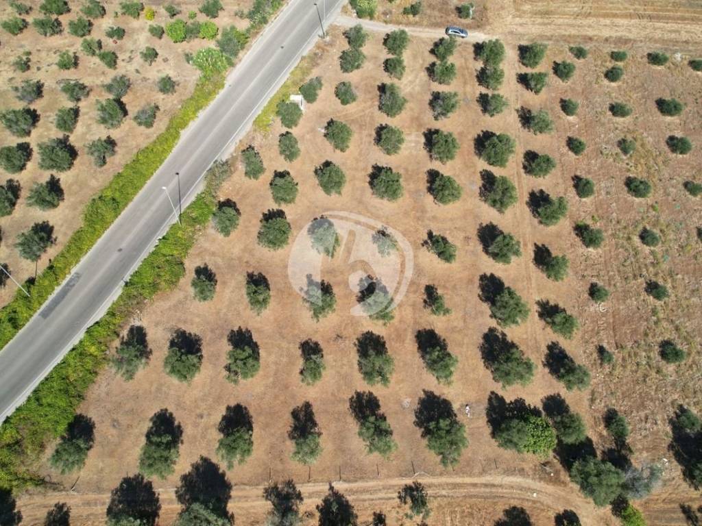 Terreno a Nardò in Viale Giorgio Perlasca, 0 - Foto 5