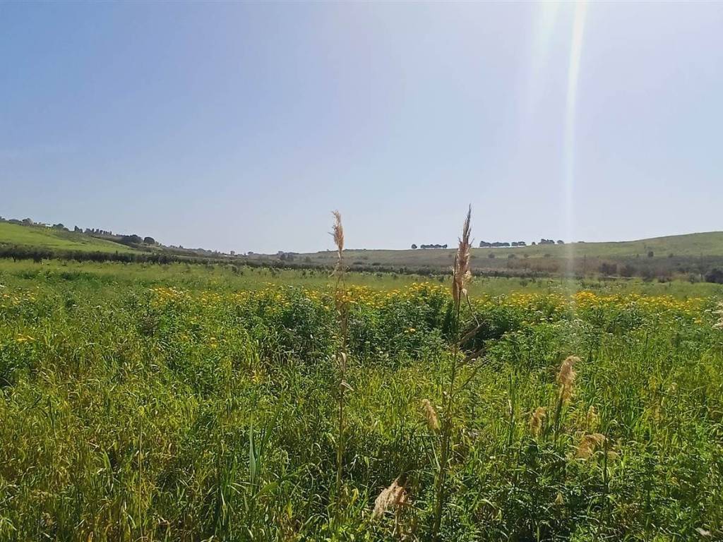 Terreno a Sciacca - Foto 3