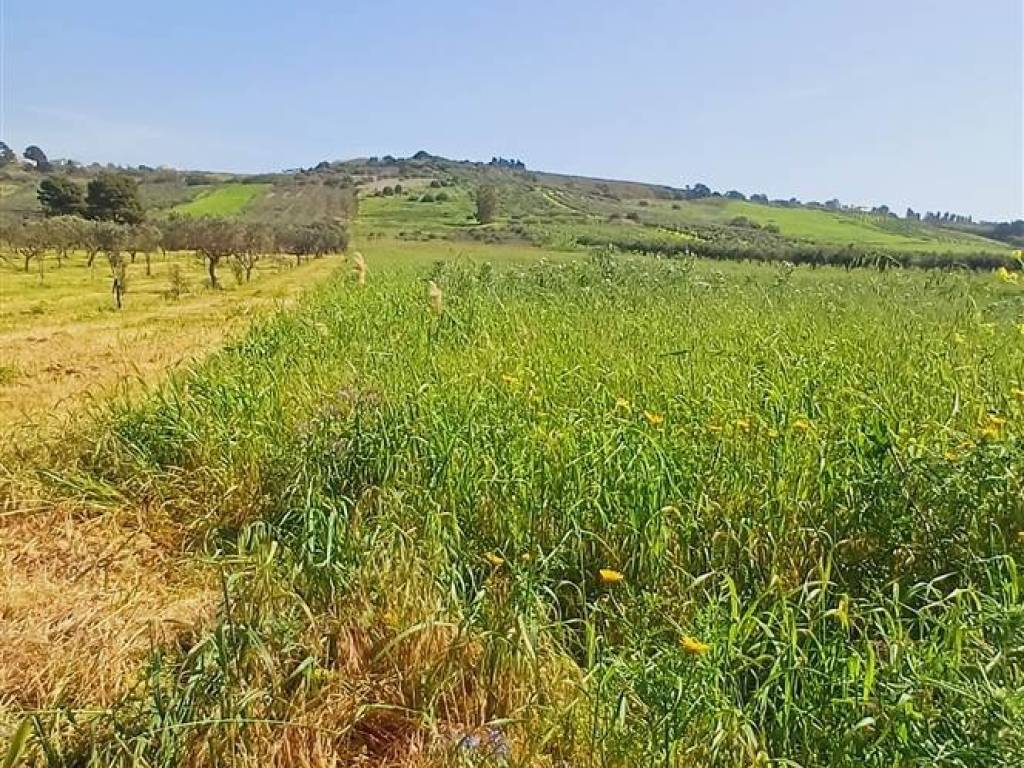 Terreno a Sciacca - Foto 4