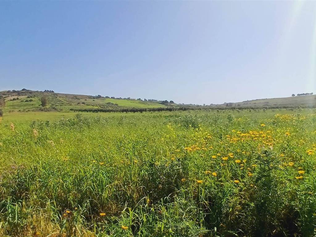Terreno a Sciacca - Foto 5