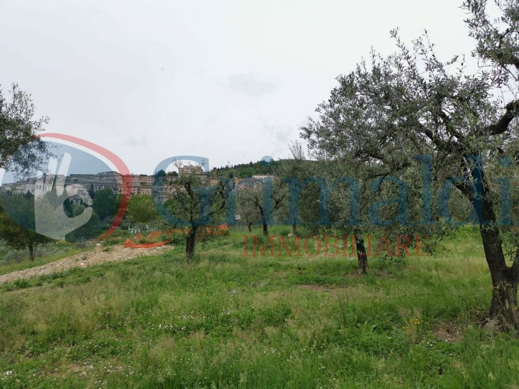 Terreno a Assisi in Via di Valecchie, 0 - Foto 2