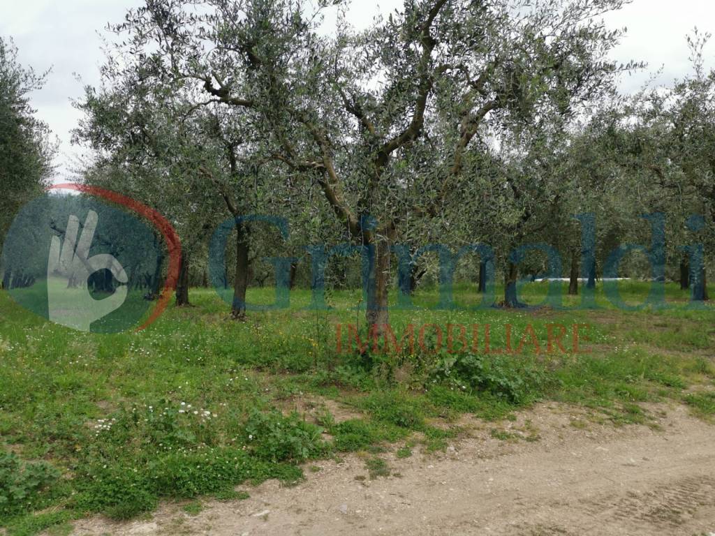 Terreno a Assisi in Via di Valecchie, 0 - Foto 3