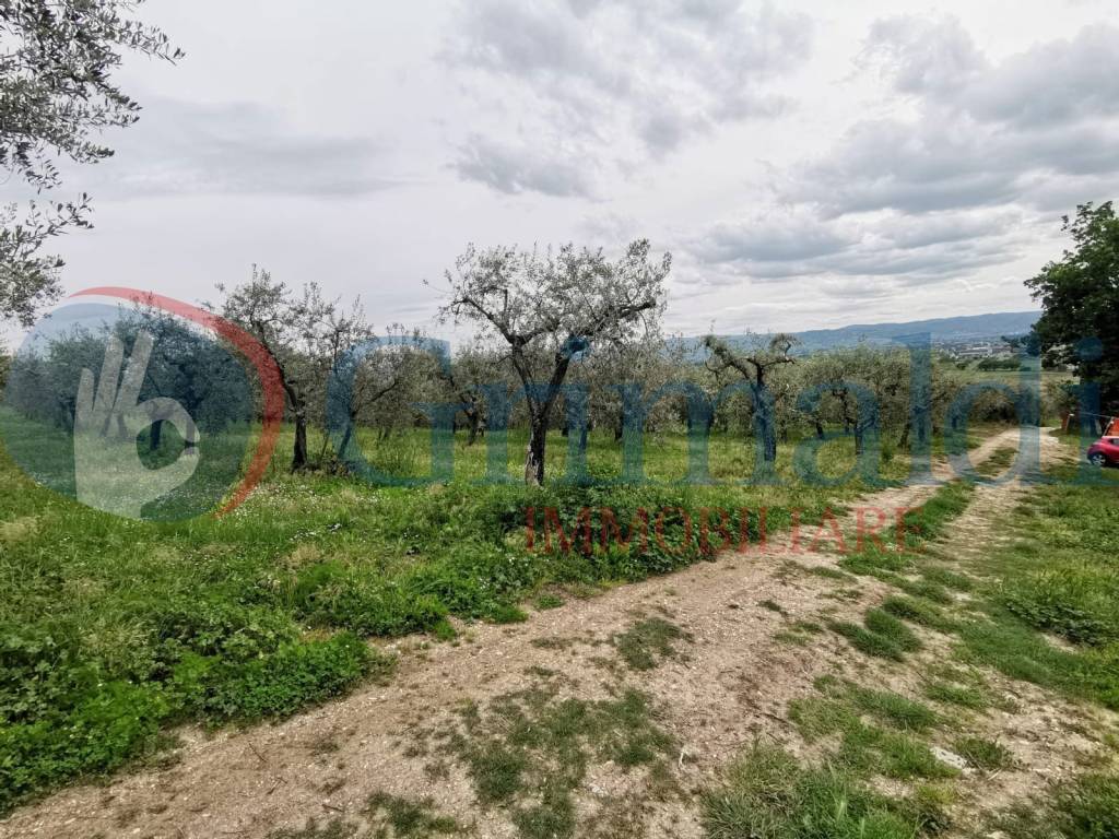 Terreno a Assisi in Via di Valecchie, 0 - Foto 4