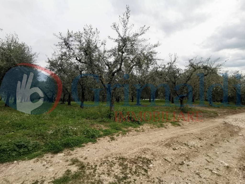 Terreno a Assisi in Via di Valecchie, 0 - Foto 5