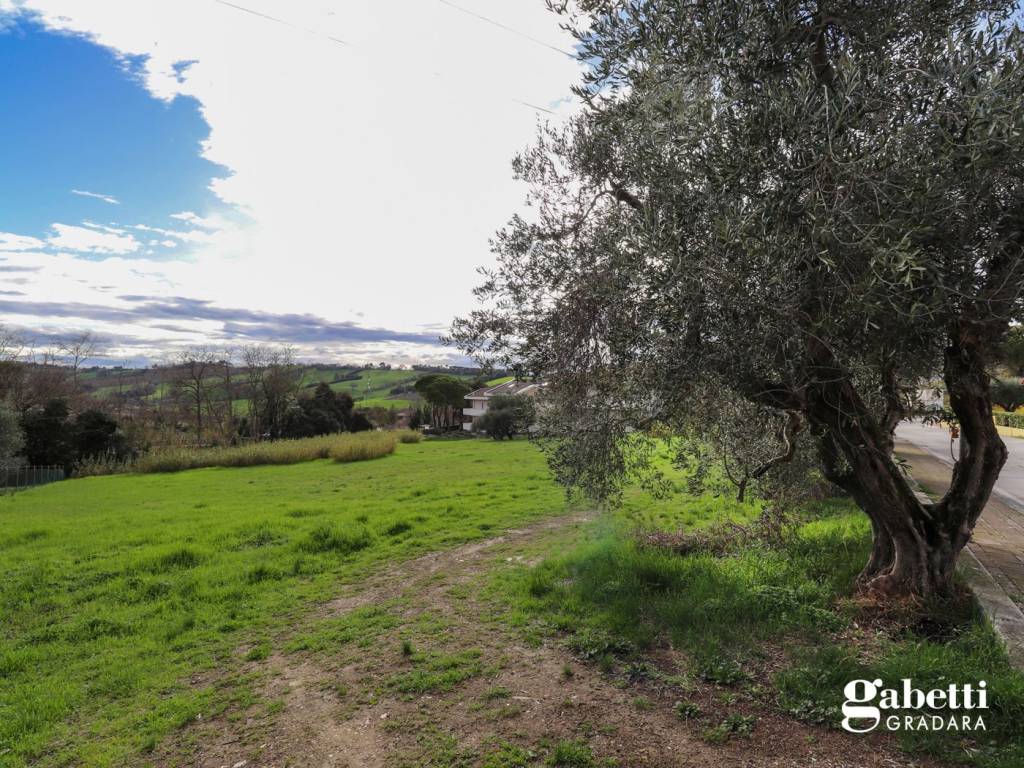 Terreno a Gradara in Via Cattolica, snc - Foto 2