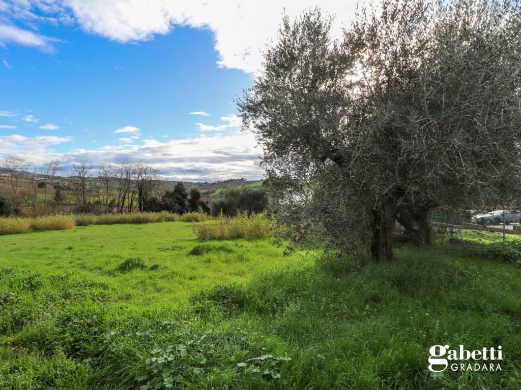 Terreno a Gradara in Via Cattolica, snc - Foto 3