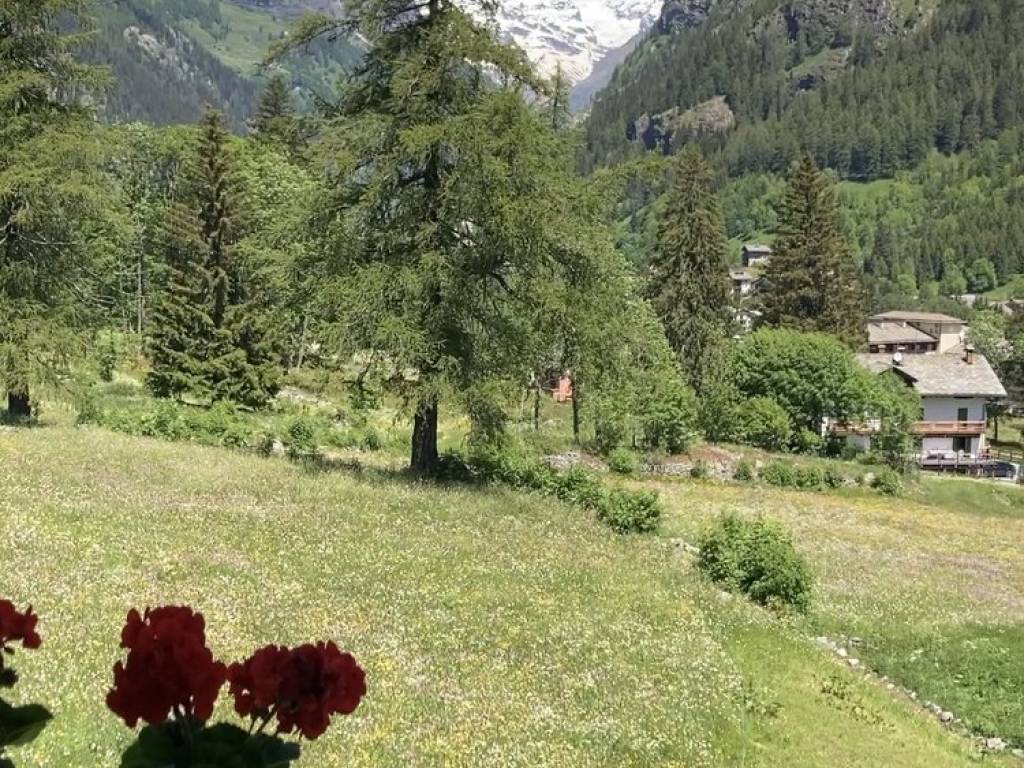 Appartamento a Gressoney-saint-jean in Località Obre Biel - Foto 3