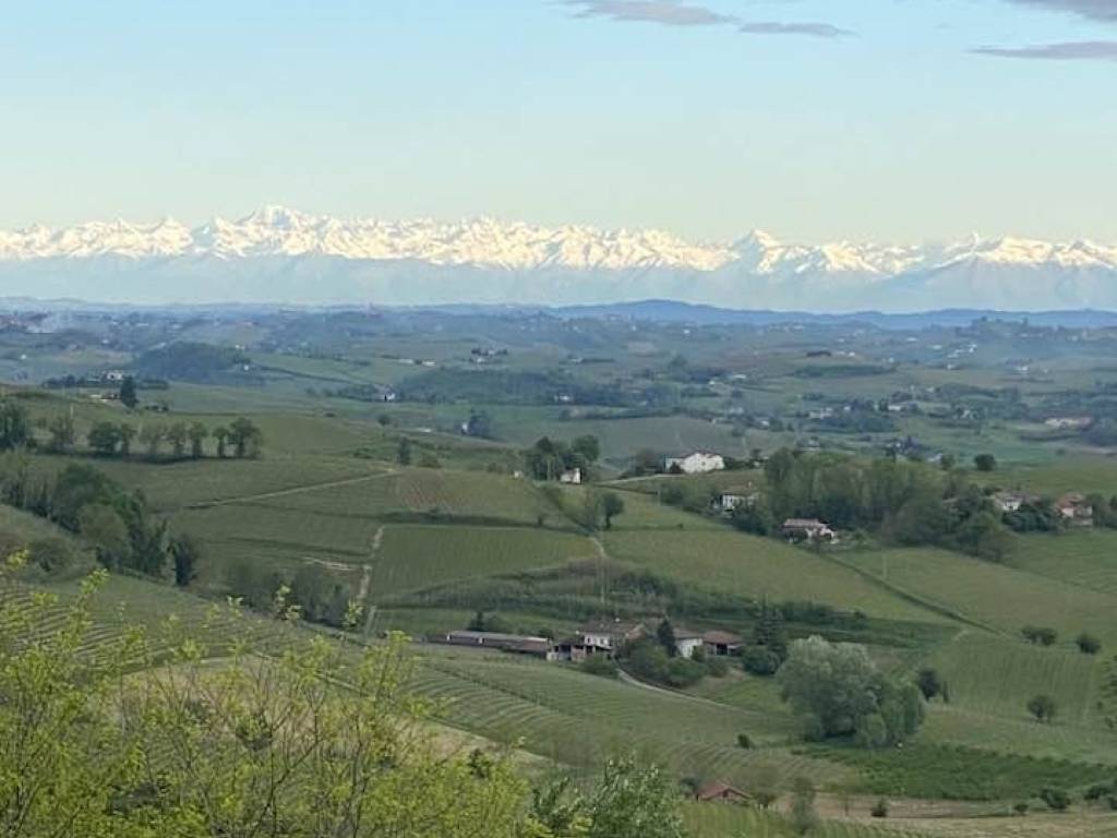 Rustico / casale a Nizza monferrato in Strada Vecchia di Castelboglione - Foto 2