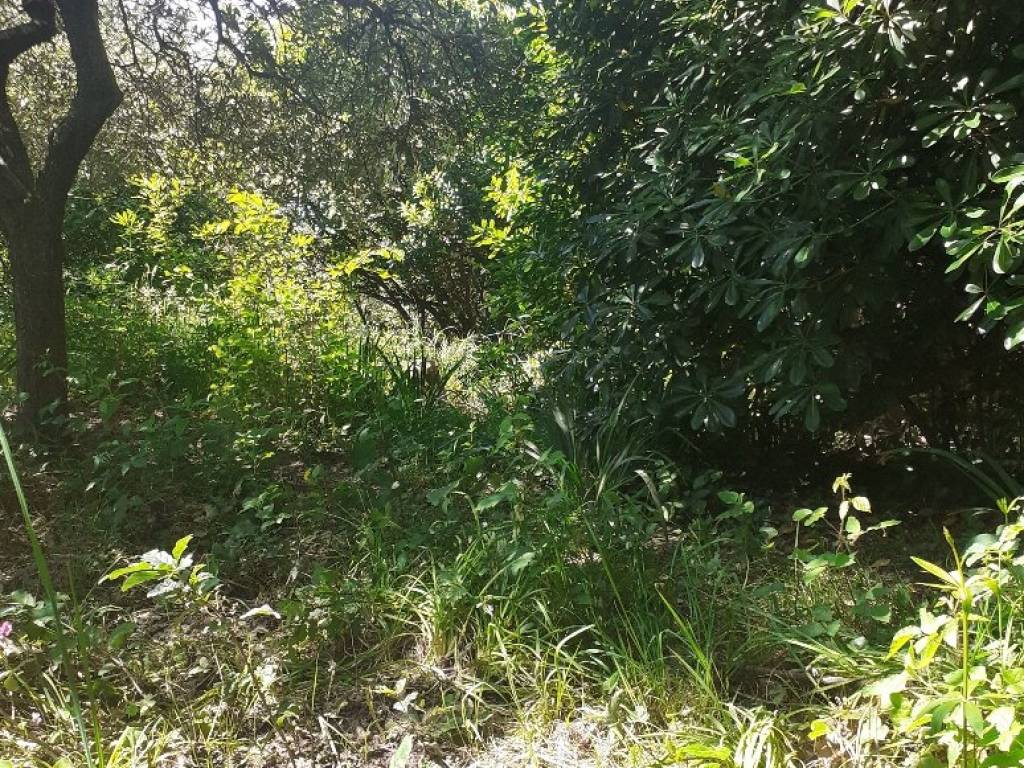 Appartamento a La spezia in Via Montello - Foto 3
