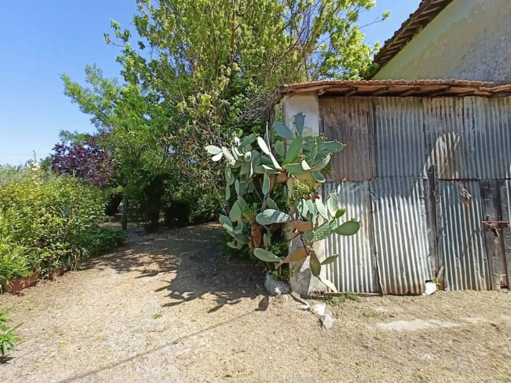 Rustico / casale a Cascina in Via Rodolfo Berretta - Foto 5