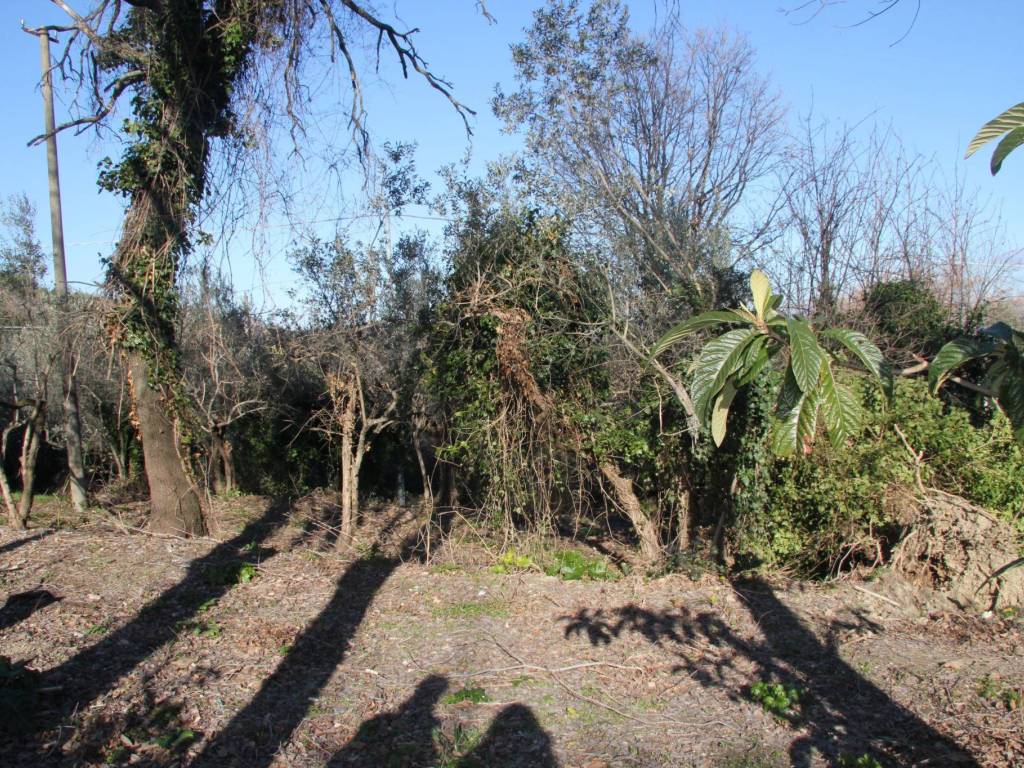 Rustico / casale a Bevagna in Strada Provinciale di Collemancio - Foto 3
