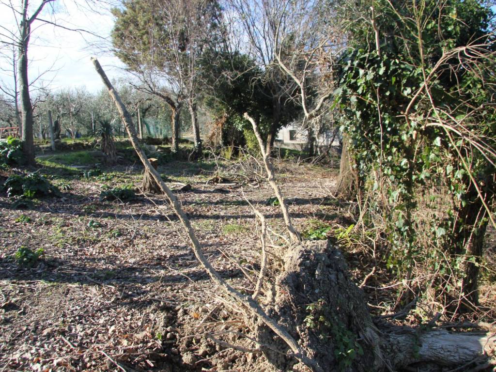 Rustico / casale a Bevagna in Strada Provinciale di Collemancio - Foto 4