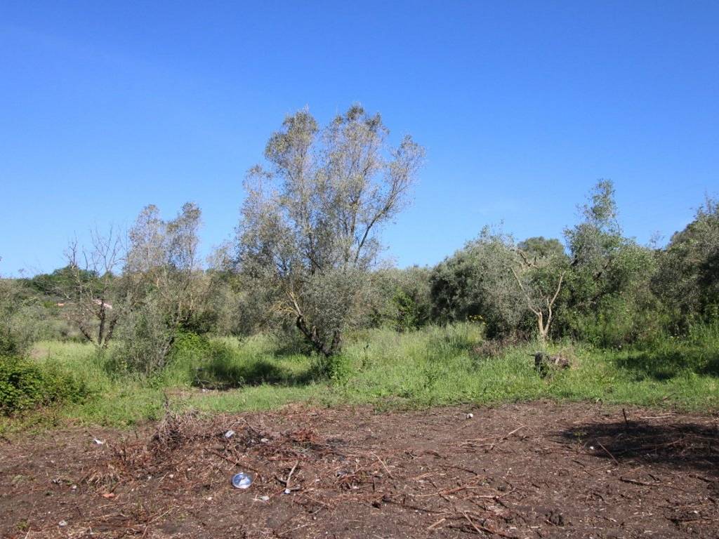 Rustico / casale a Montopoli di sabina in Via pantani - Foto 2