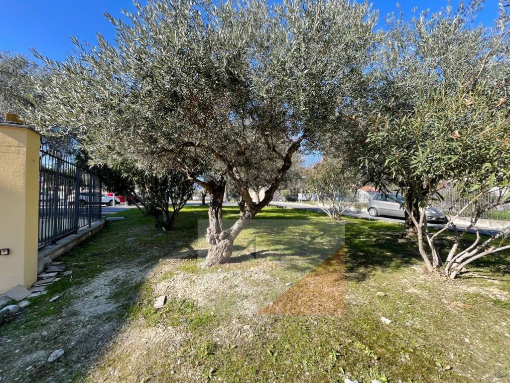 Box / garage a Bordighera in Via Giulio Cesare s.n.c - Foto 4