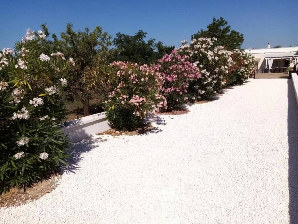 Rustico / casale a Ceglie messapica in Contrada Falascuso S.N.C. - Foto 2