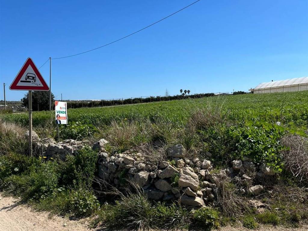 Terreno a Pachino - Foto 3