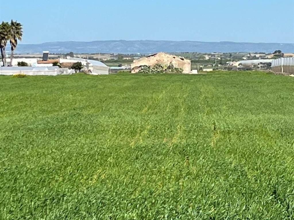 Terreno a Pachino - Foto 4