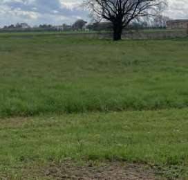 Terreno a Massa lombarda in Via Castelletto - Foto 5