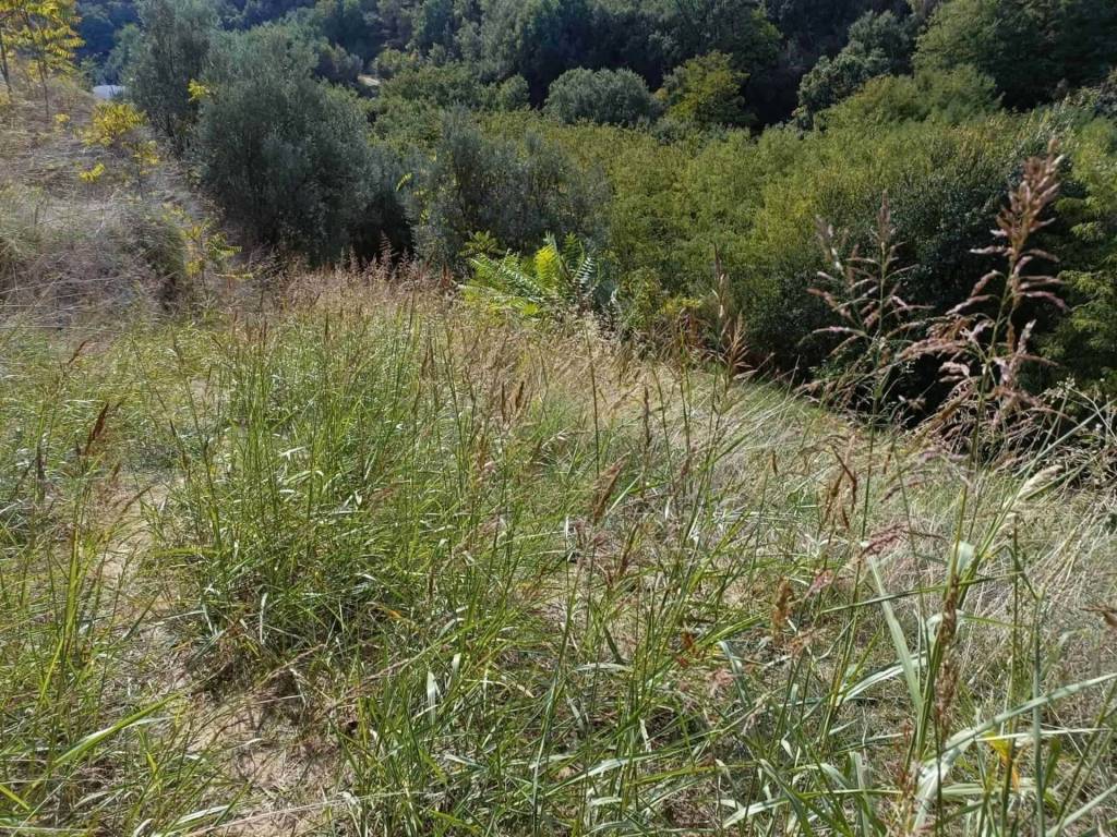 Terreno a Cosenza in Via Popilia - Foto 3