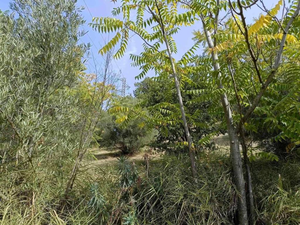 Terreno a Cosenza in Via Popilia - Foto 5