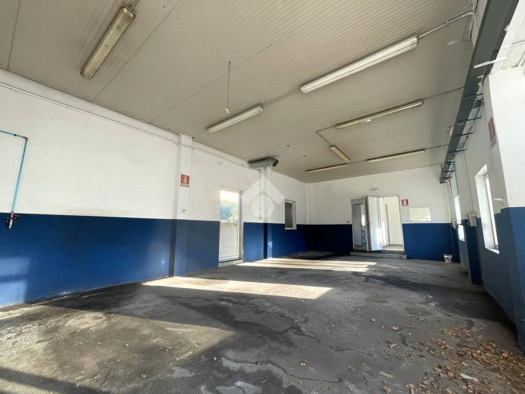 Immobile a Muggia in Via Flavia di Aquilinia, 31 - Foto 5