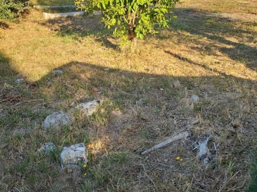 Terreno a Cisterna di latina in Via Piemonte - Foto 2