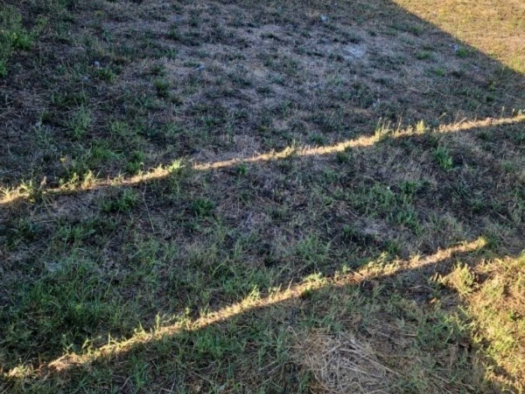 Terreno a Cisterna di latina in Via Piemonte - Foto 3