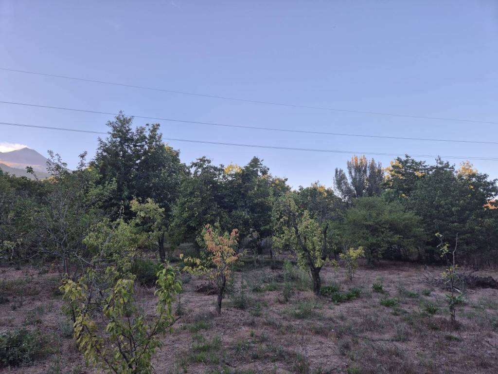 Terreno a Trecastagni in contrada grotta comune - Foto 2