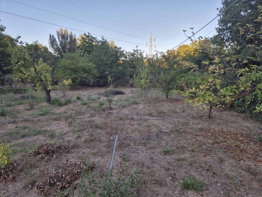 Terreno a Trecastagni in contrada grotta comune - Foto 3