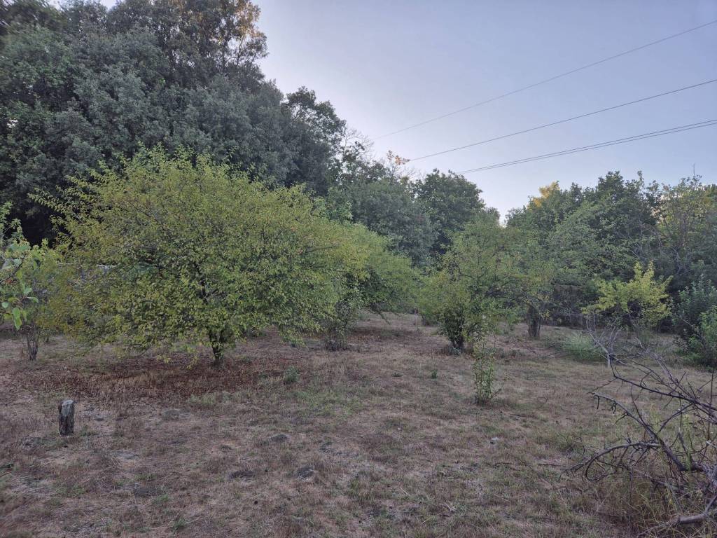 Terreno a Trecastagni in contrada grotta comune - Foto 4