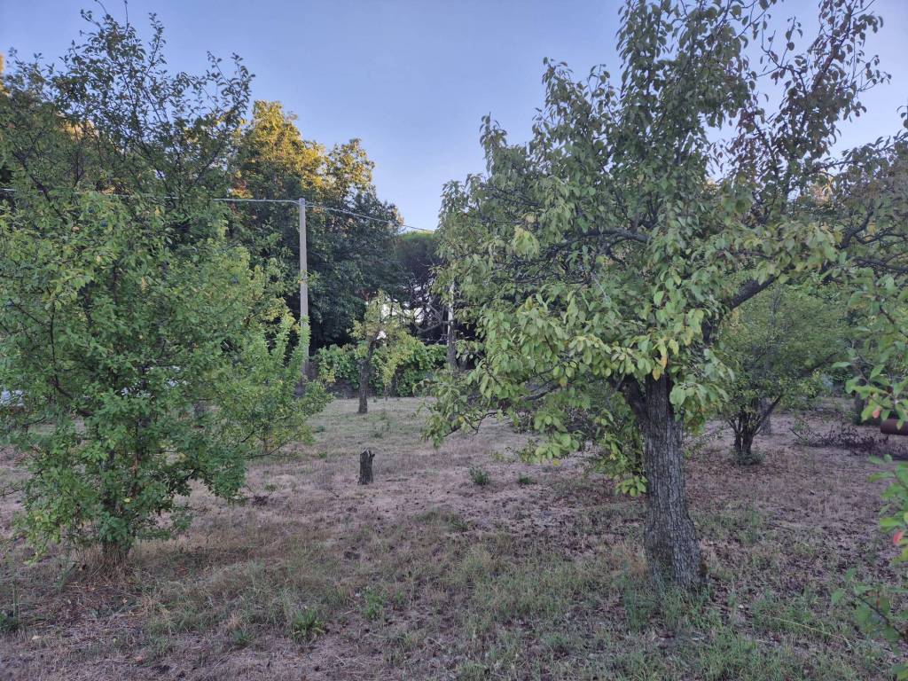 Terreno a Trecastagni in contrada grotta comune - Foto 5