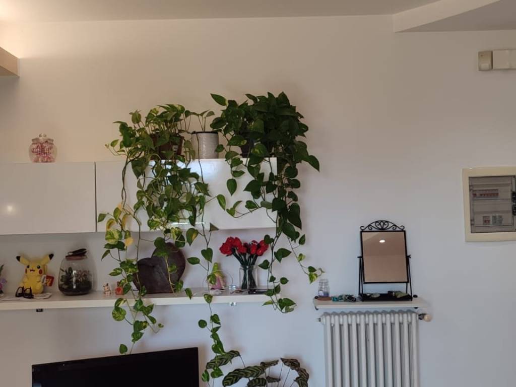 Appartamento a Rimini in Via Novafeltria - Foto 5