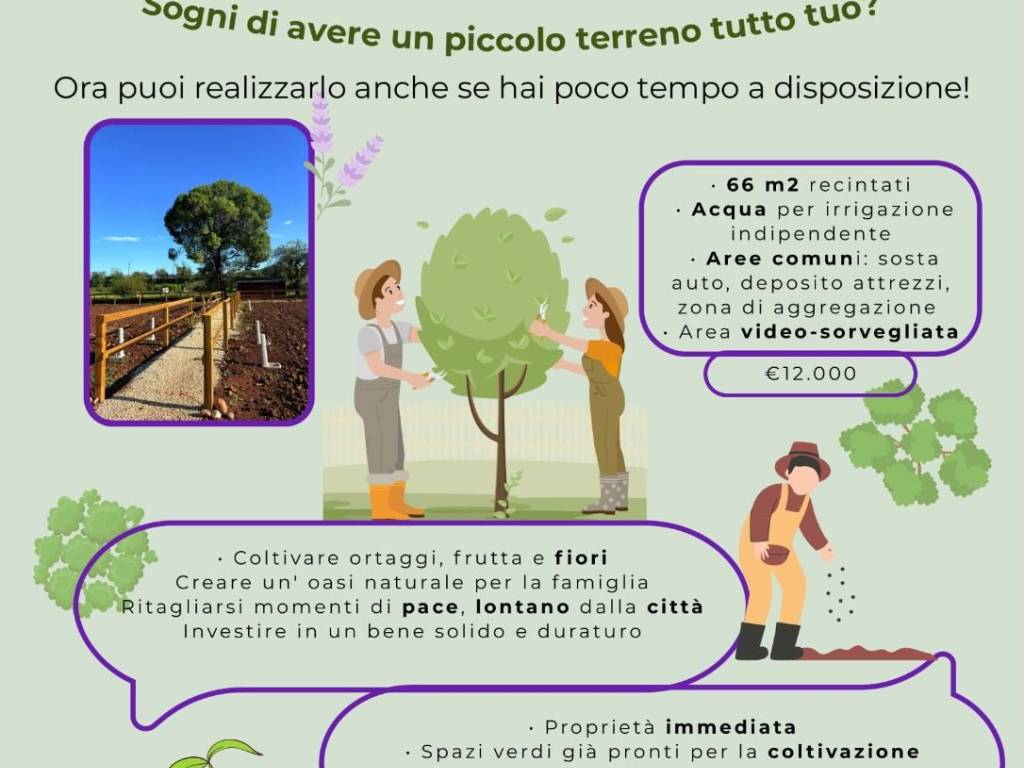 Terreno a Verona - Foto 5