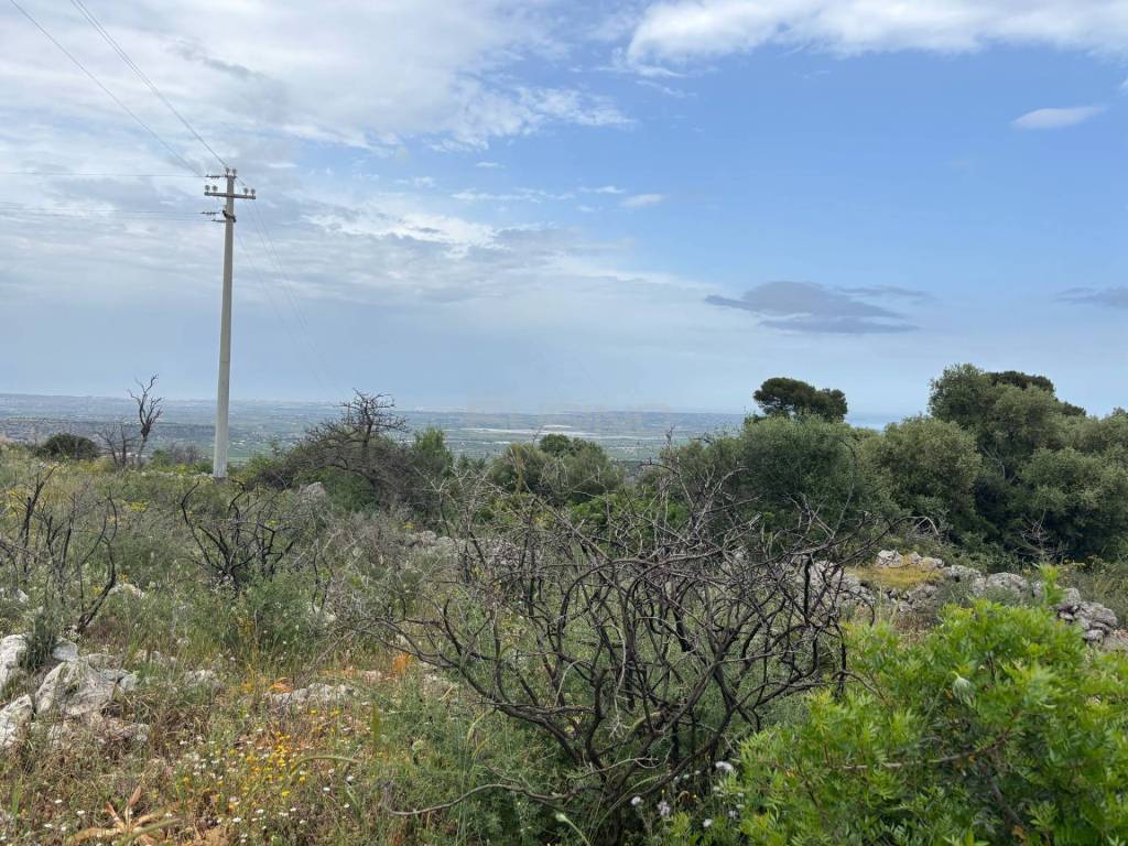 Terreno a Noto in CUGNI - Foto 3